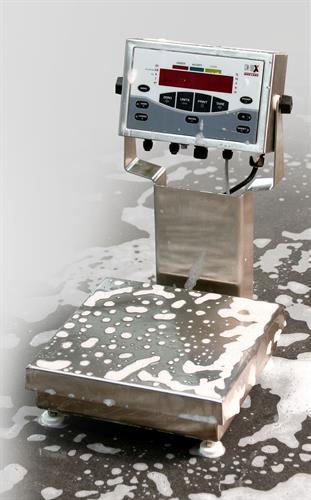 Rice Lake CW-90X OverUnder Washdown Checkweigher being washed