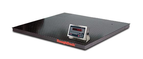 Rice Lake RoughDeck Rough-n-Ready Floor Scale System with 480