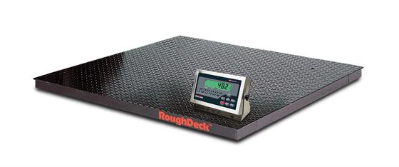 Rice Lake RoughDeck Rough-n-Ready Floor Scale System with 482