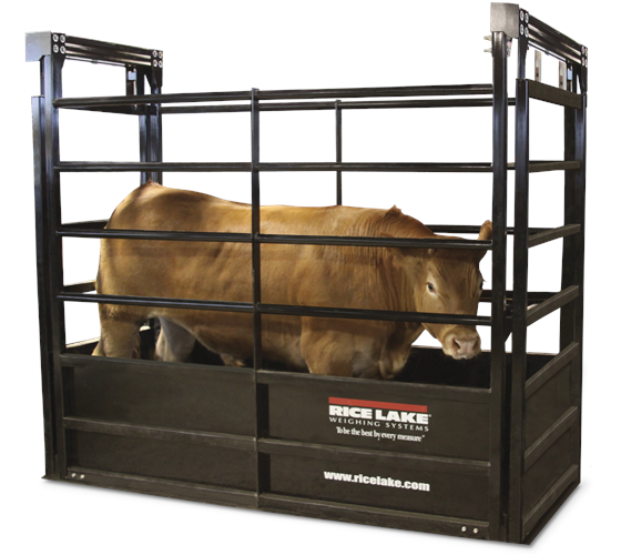 Rice Lake RoughDeck SLV Animal Livestock Scale