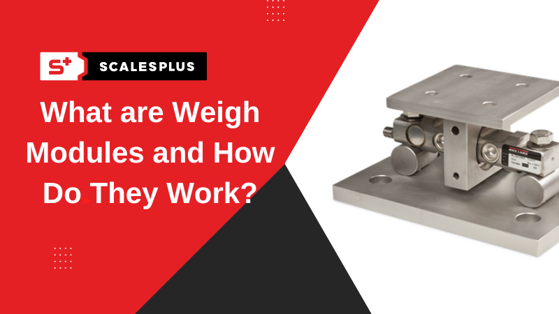 How Do Weighing Scales Work?