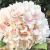 Peach Silk Hydrangea Flower Arrangement in Glass Vase With Faux Water