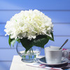  Cream Silk Hydrangea Flower Arrangement in Clear Glass Vase With Faux Water