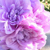 Purple Artificial Dahlia Flower Bouquet