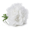 White Silk Dahlia  Arrangement in Clear Glass Vase With Faux Water