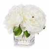 Cream Silk Peony Arrangement in Cube Glass Vase With Faux Water
