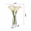Cream Real Touch Calla Lily Flower Arrangement in Clear Glass Vase With Faux Water