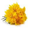 Yellow Silk Dahlia Flower Arrangement in Clear Glass Vase With Faux Water