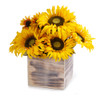 Mixed Sunflower Arrangement With Natural Wood Planter