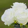 Silk Rose Flower Arrangement in Clear Glass Vase With Faux Water