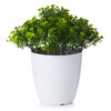 Artificial  Greenery in White Pot-6212