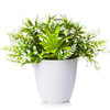 Artificial  Greenery in White Pot-6211