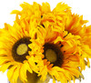 7 Heads Silk Sunflower Arrangement in Cube Glass Vase With Faux Water