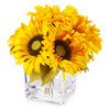 7 Heads Silk Sunflower Arrangement in Cube Glass Vase With Faux Water