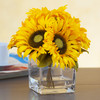 7 Heads Silk Sunflower Arrangement in Cube Glass Vase With Faux Water