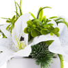 White Real Touch Tiger Lily with Mixed Greenery in White Ceramic Vase