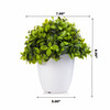  Artificial  Eucalyptus Plant in White Pot