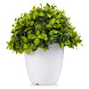  Artificial  Eucalyptus Plant in White Pot