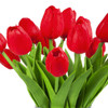 Artificial Real Touch Tulips Flower Arrangement in  Glass Vase With Faux Water(Red)