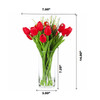 Artificial Real Touch Tulips Flower and Star Grass in Clear Glass Vase With Faux Water(Red)