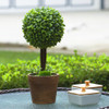 12 inch Artificial Boxwood Single Ball Round Topiary in Pot