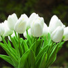  20 Pieces Artificial Real Touch Tulips Flower Arrangement in  Glass Vase With Faux Water(White)
