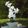 24" Artificial Real Touch Orchids Flower in White  Ceramic Pot 