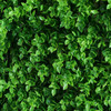 12 Panels 31Sq ft. Artificial Boxwood Hedge Eucalyptus Leaves Faux Foliage Wall Backdrop Decoration for Party Wedding Indoor & Outdoor Garden 