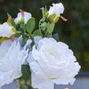 3 Large Silk Roses Flower Arrangement in Clear Glass Vase With Faux Water(White)