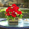 18 Heads Mixed Rose Flower Arrangement With Wood Planter(Red)