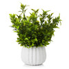 12 inches Artificial Mixed Greenery Foliage Plant in White Ceramic Pot