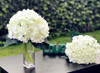 Hydrangea Bouquet with Glass Vase for Home Wedding Decoration