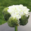 Green Flower Mixed Hydrangea with Glass Vase for Home Wedding Decoration