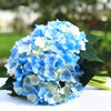 Blue Cream Artificial Hydrangea Flower Arrangements with Clear Glass Vase 