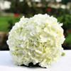Cream Artificial Hydrangea Flower Arrangements with Clear Glass Vase 