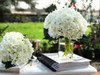 Cream Artificial Hydrangea Flower Arrangements with Clear Glass Vase 