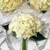 Blush Artificial Hydrangea Flower Bouquets Set of 3