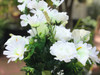 Cream Rose and Daisy Mixed Faux Flower Arrangements With White Ceramic Vase