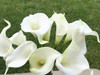 Cream Velet Lily Faux Flower Arrangements With  Glass Vase 