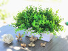 Artificial  Eucalyptus Grass in Decorative Vase