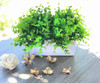 Artificial  Eucalyptus Grass in Decorative Vase