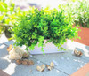 Artificial  Eucalyptus Grass in Decorative Vase
