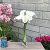 Cream Velet Lily Faux Flower Arrangements With  Clear Glass Vase 