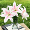 Pink Tiger Lily Real Touch Flower Arrangement in Clear Glass Vase with Faux Water