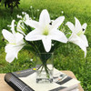 White Tiger Lily Real Touch Flower Arrangement in Clear Glass Vase with Faux Water
