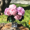 Pink Rose and Hydrangea Mixed Faux Flower Arrangement in Clear Glass Vase