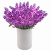 40 Heads Purple Lavender Arrangement in White Ceramic Vase
