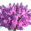 40 Heads Purple Lavender Arrangement in White Ceramic Vase