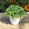 Artificial  Boxwood Grass in Round Decorative Vase