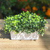 Artificial  Boxwood Grass in  Decorative Vase